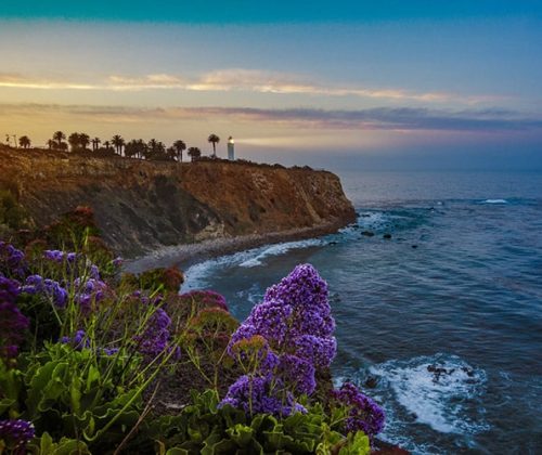 Rancho Palos Verdes BBQ Cleaning