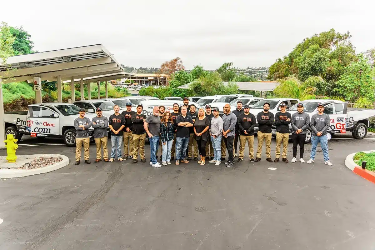 Elementor #8063 Pro Grill BBQ Cleaning and Repair Team