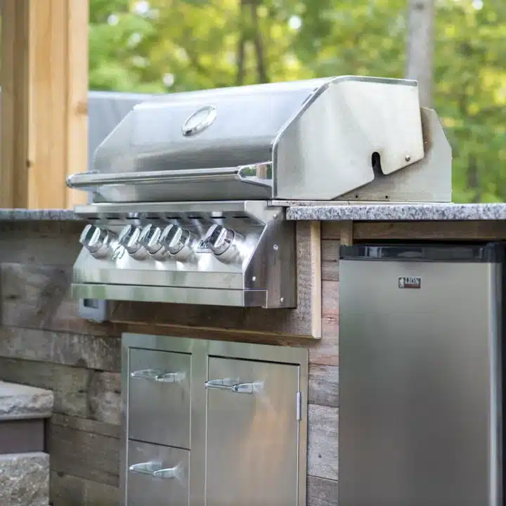 Lion Grill Deal Sale